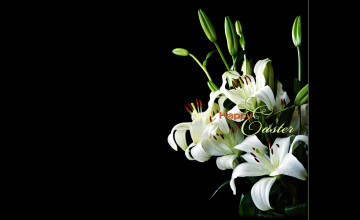 Easter Lilies Wallpapers