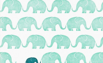 Free download Elephants Elephant Wallpaper Border BW77427 All 4 Walls