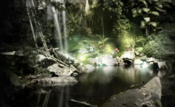 Enchanted Forest Desktop Wallpapers