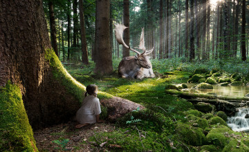 Enchanted Forest Wallpapers for Home