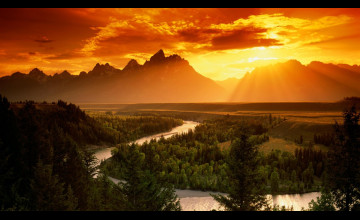 Exquisite Wallpapers