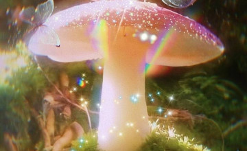 Fairy Aesthetic Wallpapers