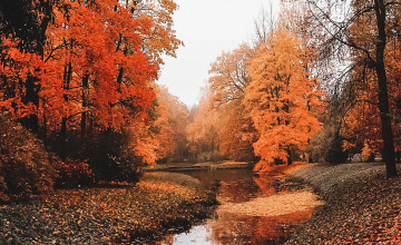 Fall Aesthetic Wallpapers