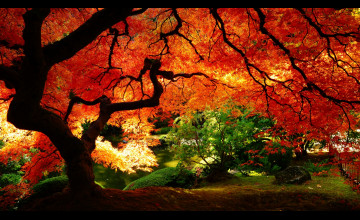 Fall Desktops Wallpapers