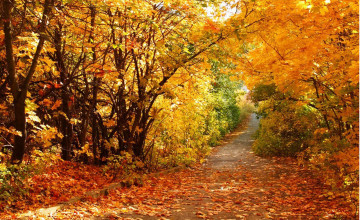 Fall Scenery Wallpapers for Computer