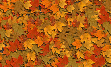 Fall Themed Backgrounds