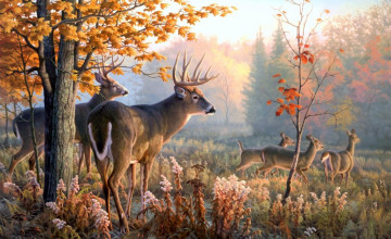 Fall Wallpaper with Deer
