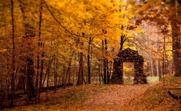 Fall Wallpapers Backgrounds and Images