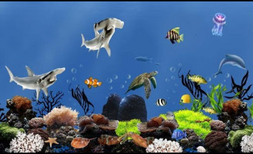 Fish Aquarium Live