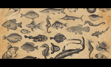 Fish Drawing Wallpapers