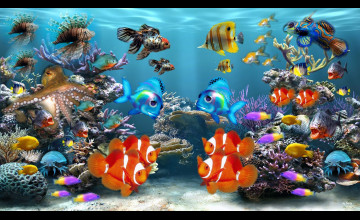 Fish Tank HD Wallpaper