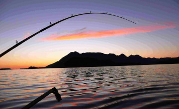 Fishing Widescreen