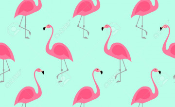 Flamingo Backgrounds