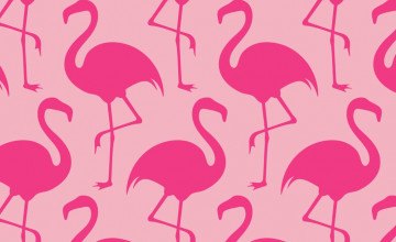 Flamingo Pink Wallpapers
