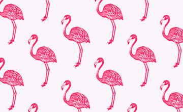 Flamingo Print Wallpaper