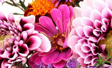 Floral Iphone Wallpapers