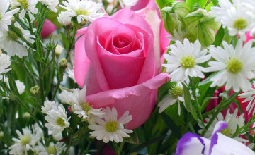 Floral Rose
