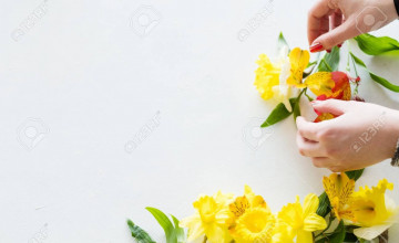 Florist Backgrounds