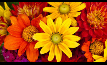 Flower Desktop 4k