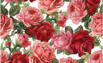 Flower Print Wallpaper Roses