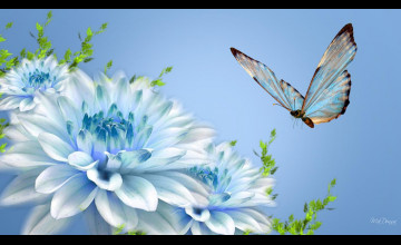Flowers Nature