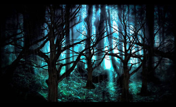 Forest Background Dark