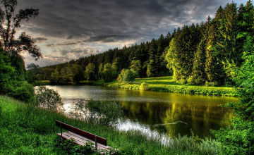 Forest Lake Wallpapers