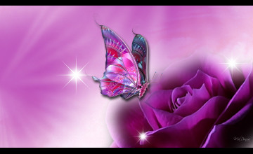 Free 3D Butterfly Wallpapers