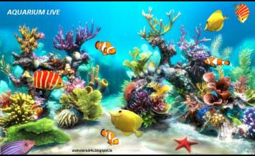 Free Aquarium Live Wallpapers Downloads