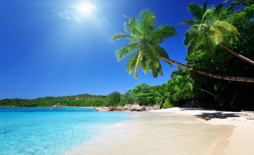 Free Beach Wallpapers and Screensavers