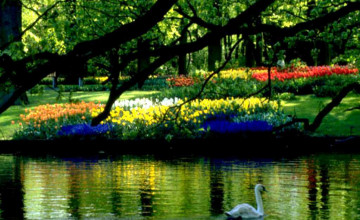 Free Beautiful Spring Scenic Wallpapers