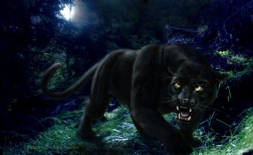 Free Black Panther