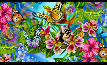 Free Butterfly Wallpaper