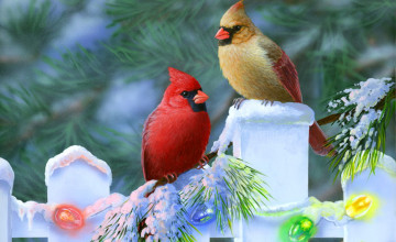 Free Christmas Bird Wallpaper