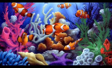 Free Fish Desktop Wallpapers