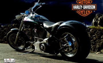 Free Harley Davidson Wallpapers