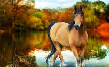 Free Horse Backgrounds and Wallpapers