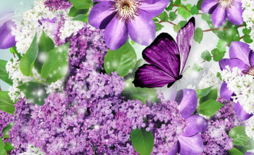 Free Lilac Wallpaper