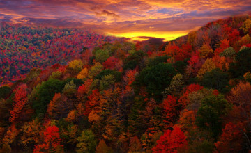 Free Mountain Autumn Wallpapers