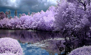 Free Spring Wallpapers For Desktop