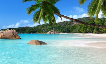 Free Tropical Beach Live wallpapers