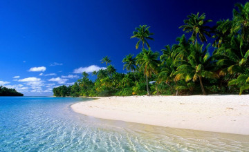 Free Tropical Beaches Wallpapers Download