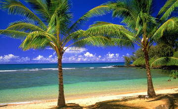 Free Wallpaper Hawaii Beach Scenes
