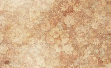 Ivory Off White Paper Texture Picture, Free Photograph