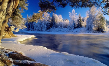 Free Wallpaper Winter Backgrounds
