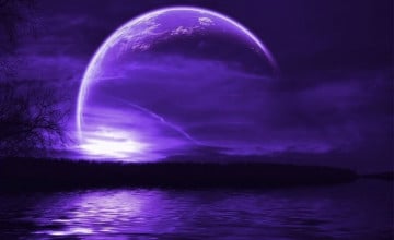 Free Wallpapers and Screensavers Purple