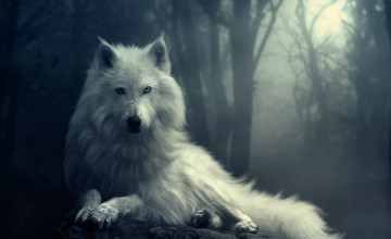 Free Wallpapers of Wolves