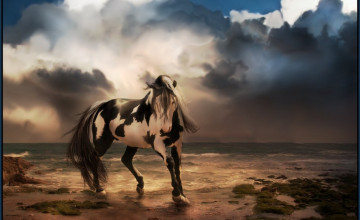 Free Wild Horse Desktop Wallpapers