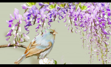 Free Wisteria Wallpapers for Computer
