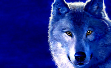 Free Wolf Wallpapers for Laptops
